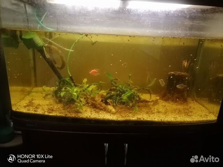 Аквариум с тумбой