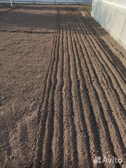 Борон конный