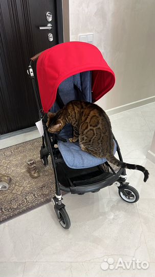 Коляска Bugaboo bee 5