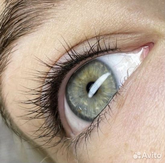 Перманентный макияж м. Балтийская