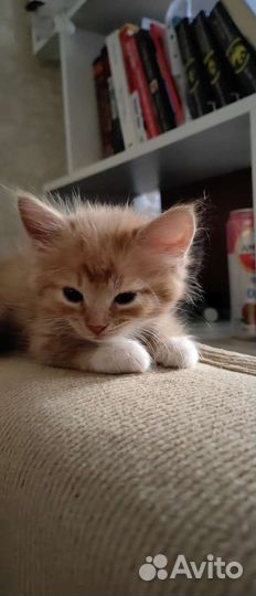 Мягкие всратыши