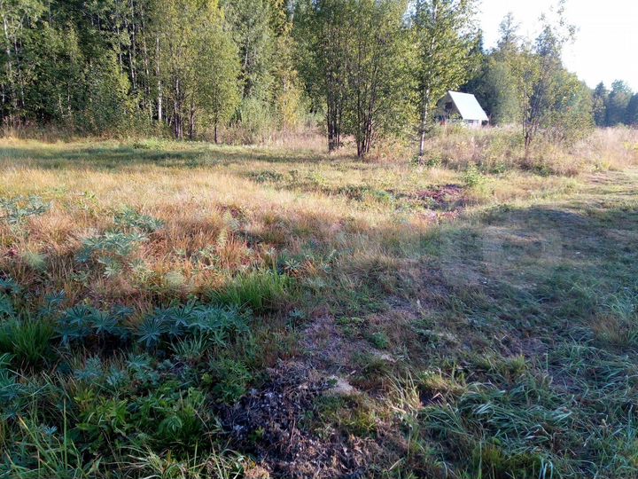 Участок 4,49 га (СНТ, ДНП)