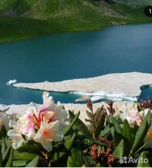 Индивидуальные туры в Абхазию