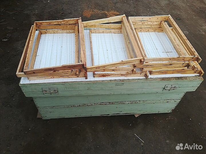 Рамки пчелиные, корпусные, 435Х300