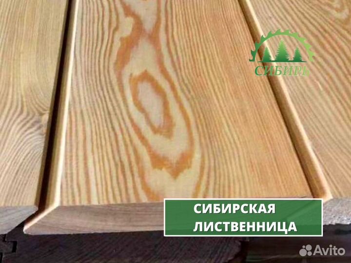 Планкен лиственница