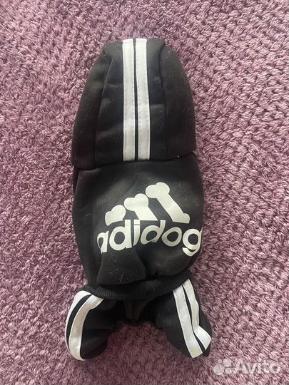 Одежда для маленьких пород собак