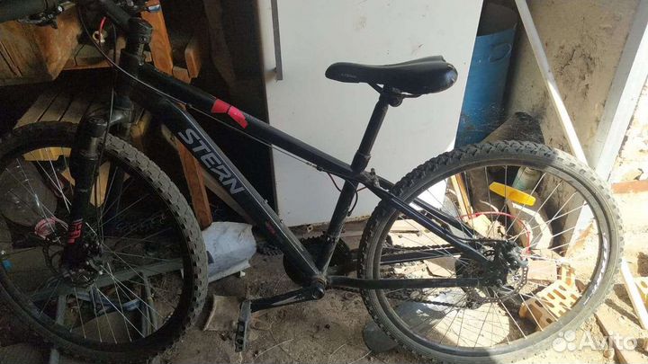 Stern Dynamic 2.0 2019