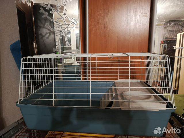 Отдаю большую клетку для грызунов купить в Москве | Животные и ...