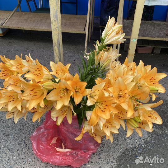 Лилия срезка