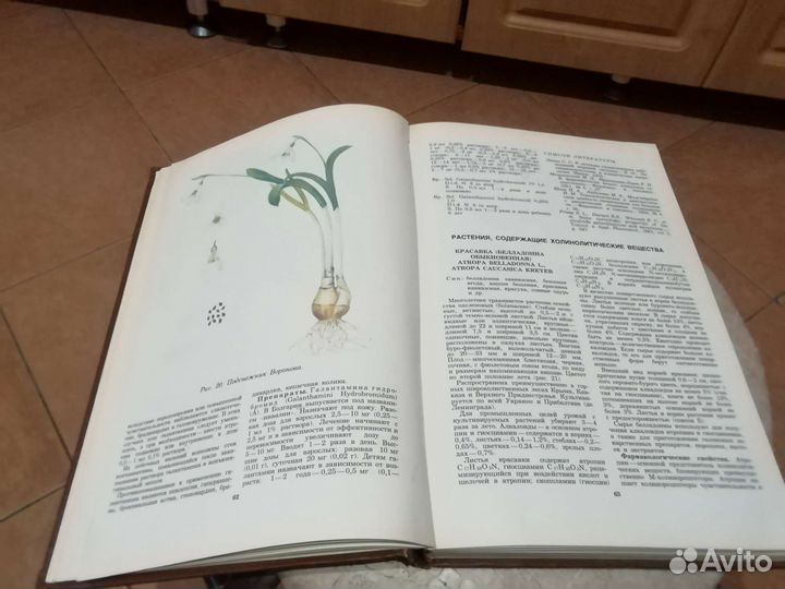 Лекарственные растения СССР и их применение