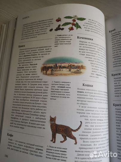 Энциклопедия