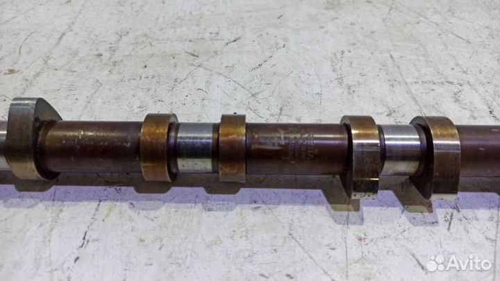 Распредвал впускной Ягуар