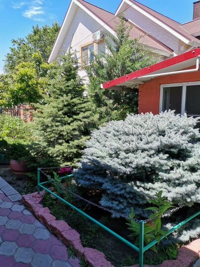 Коттедж 265 м² на участке 6 сот.