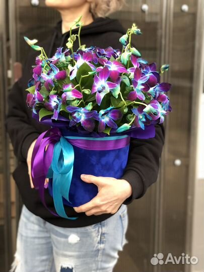 Орхидея синяя