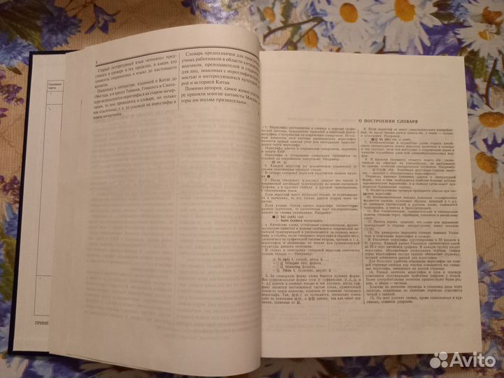 Большой Китайско-Русский словарь