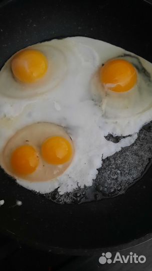 Домашние куриные яйца