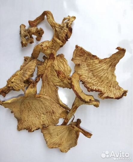 Грибы сушенные опт