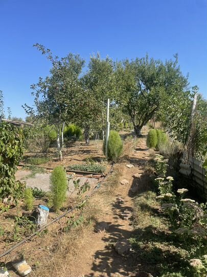 Дом 35 м² на участке 22 сот.