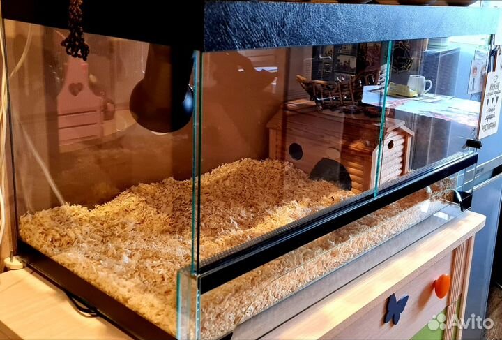 Террариум для сухопутной черепахи