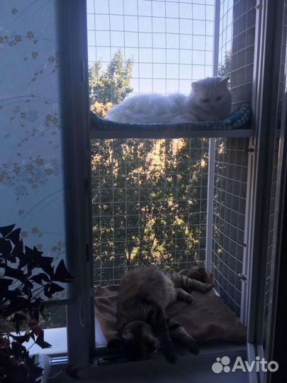 Вольеры-Балконы Сетка-Решётка Антикошка