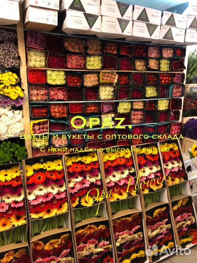 Розы оптом