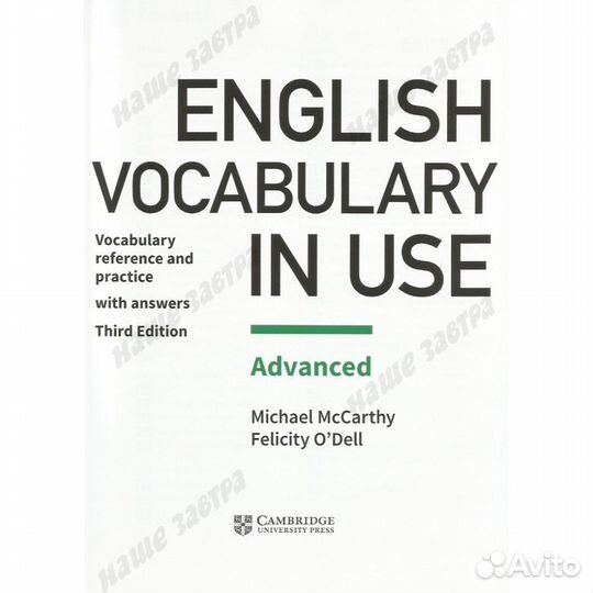 English Vocabulary in Use (3rd Edition) Advanced