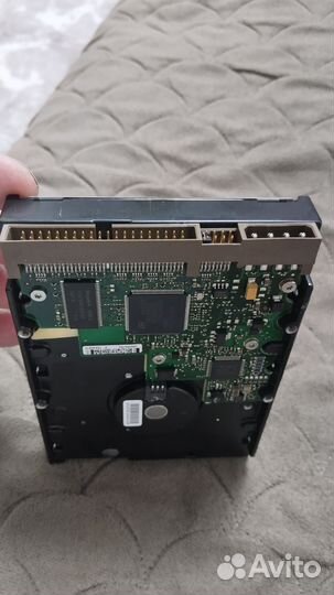 Жесткий диск