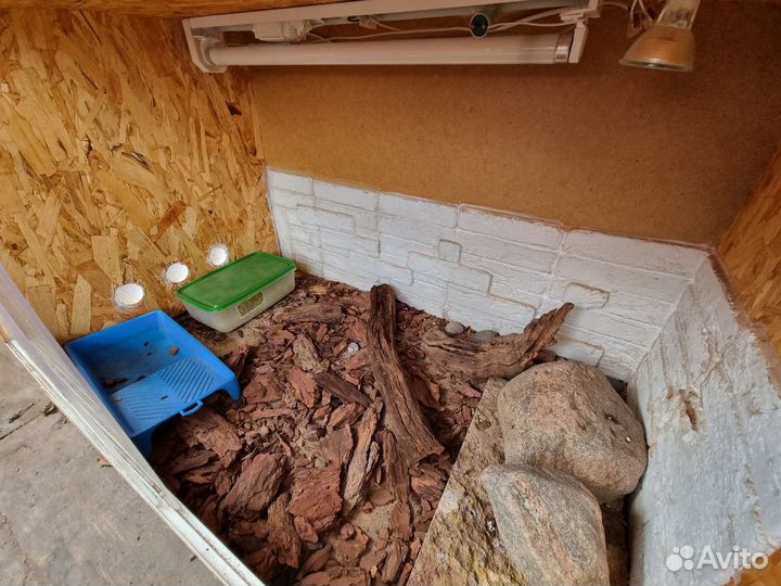 Террариум для рептилий (самодельный)