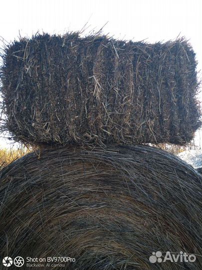 Сено в рулонах