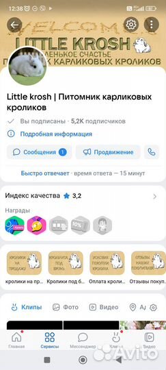 Карликовые кролики.питомник.доставка