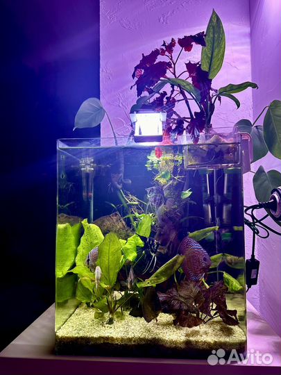 Аквариумы 140,60,40,10л