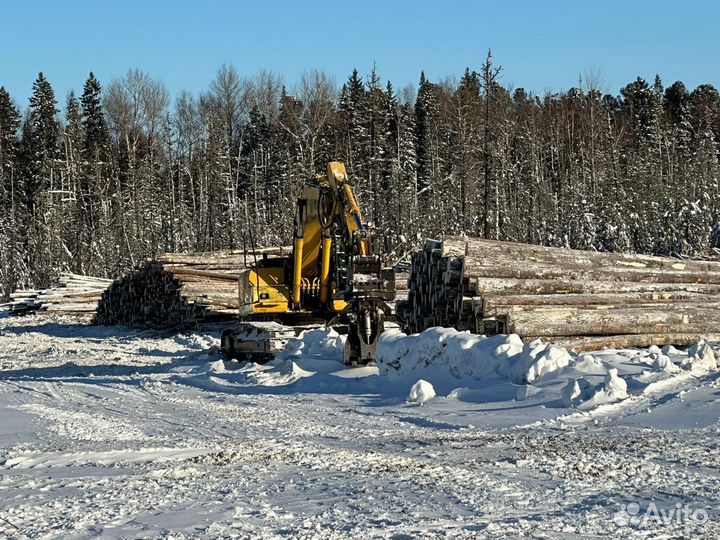 Услуги лесозаготовки