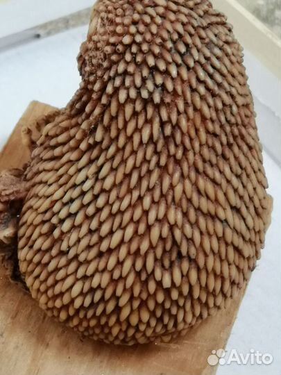 Ёжик,ЁЖ,ежиха.фигурки.статуэтки.игрушки детям