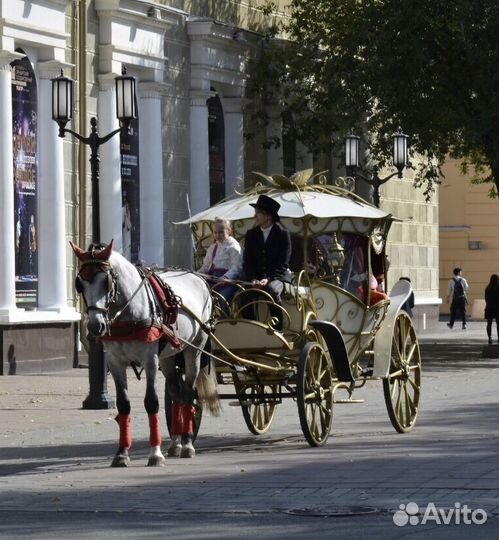 Аренда кареты 