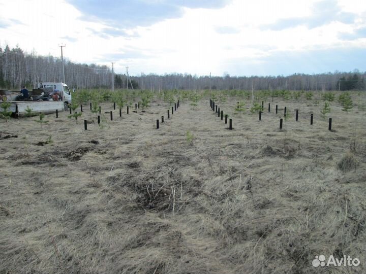 Свайно винтовой фундамент под ключ