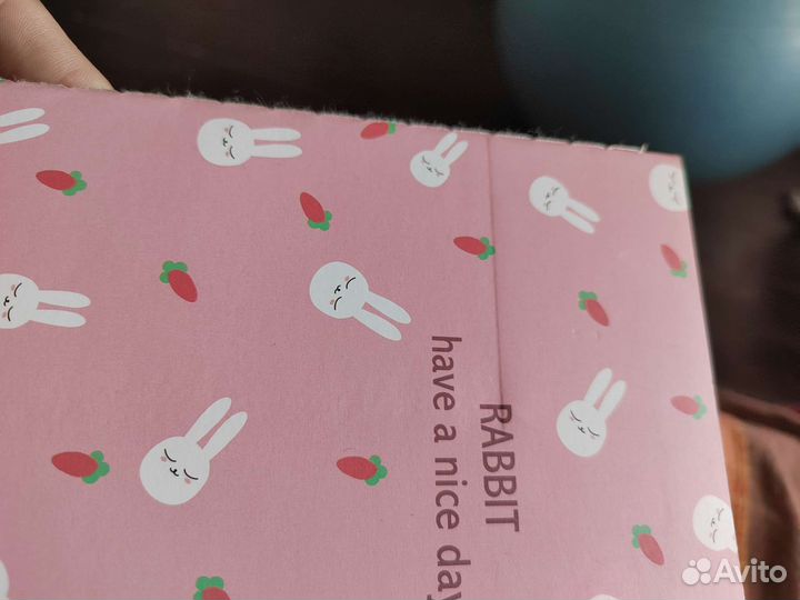 Тетради в линейку