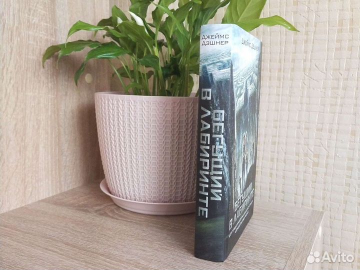 Бегущий в лабиринте