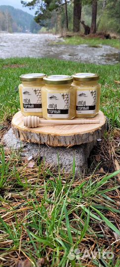 Варенье из сосновых шишек