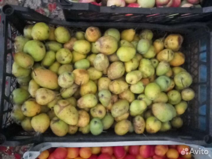 Яблоки -слива -груши