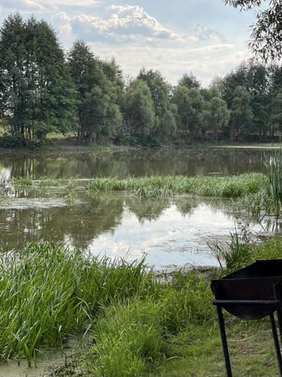 Участок 7 сот. (ИЖС)