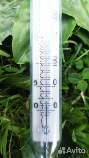 Термометр контактный