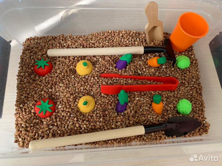 Сенсорная коробка (огород)