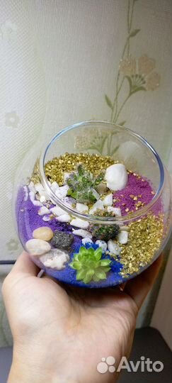 Флорариумы с суккулентами