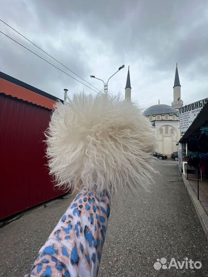 Папаха натуралка шапка