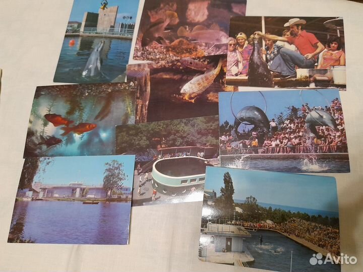 Набор открыток Батумский дельфинарий