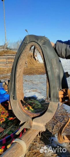 Хомут для лошади 5