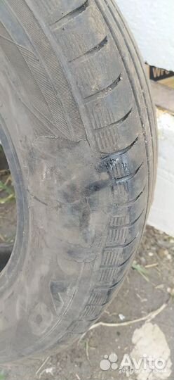 Toyo Proxes CF2 205/65 R15