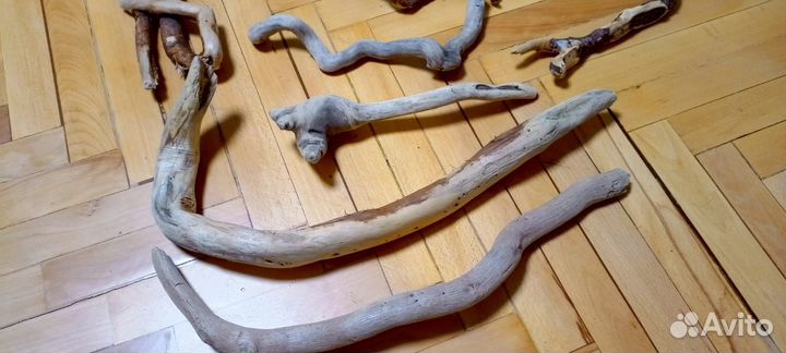 Коряги дрифтвуд