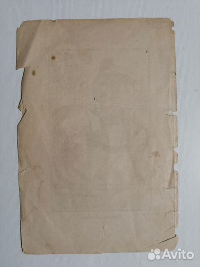 Укрощение коня