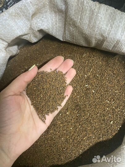 Семена фацелии